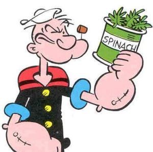 spinach testosterone